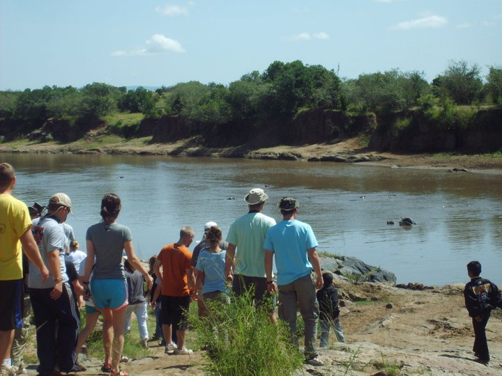 pallid clients at the mara river